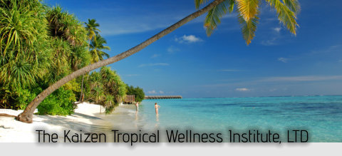 The Kaizen Tropical Wellness Institute, LTD